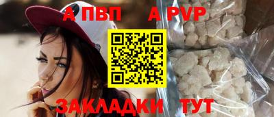 тгк Бийск
