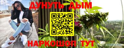 тгк Бийск