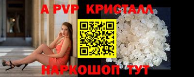 тгк Бийск