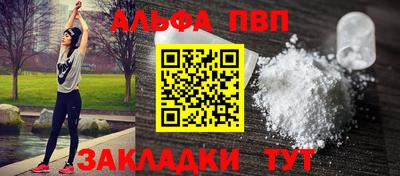тгк Бийск