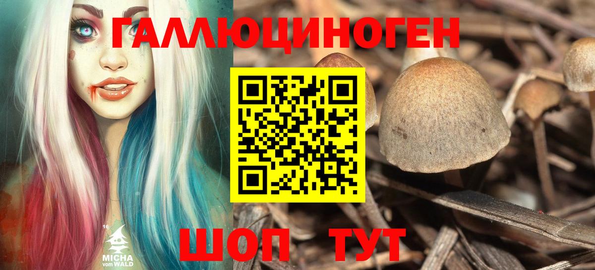 Кисловодск  Псилоцибиновые грибы Cubensis  Вход с VPN 